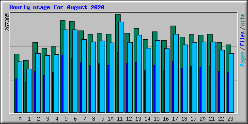 Hourly usage for August 2020