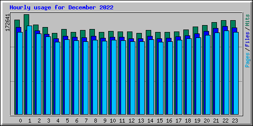Hourly usage for December 2022